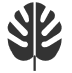 Eksotiski