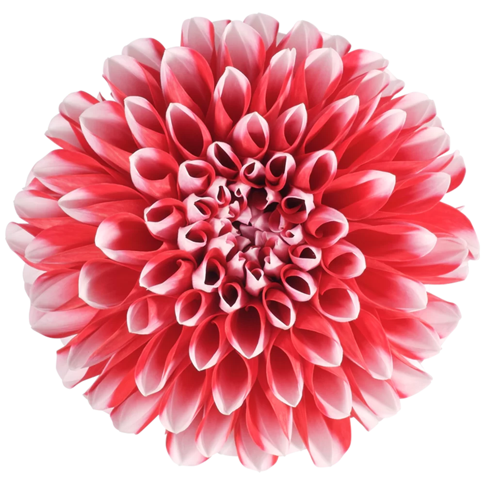 30624.webp
