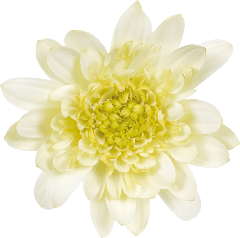 37634.webp