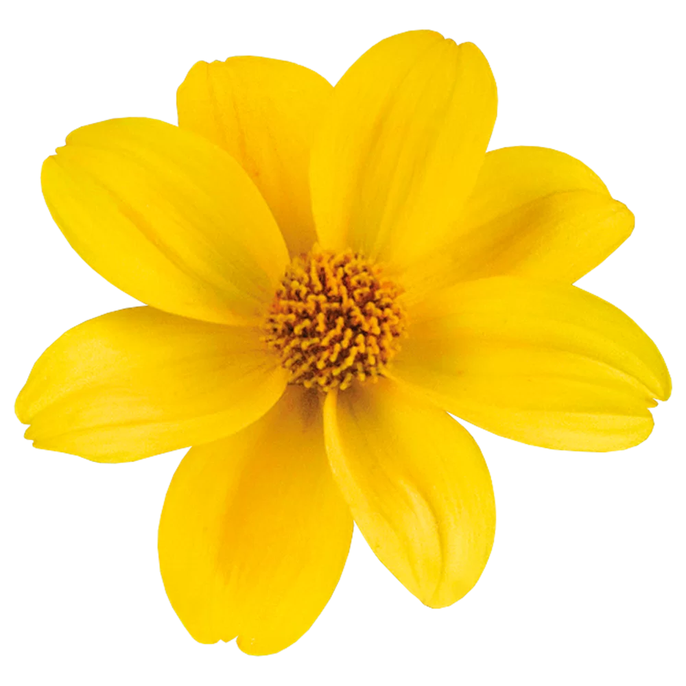 38457.webp