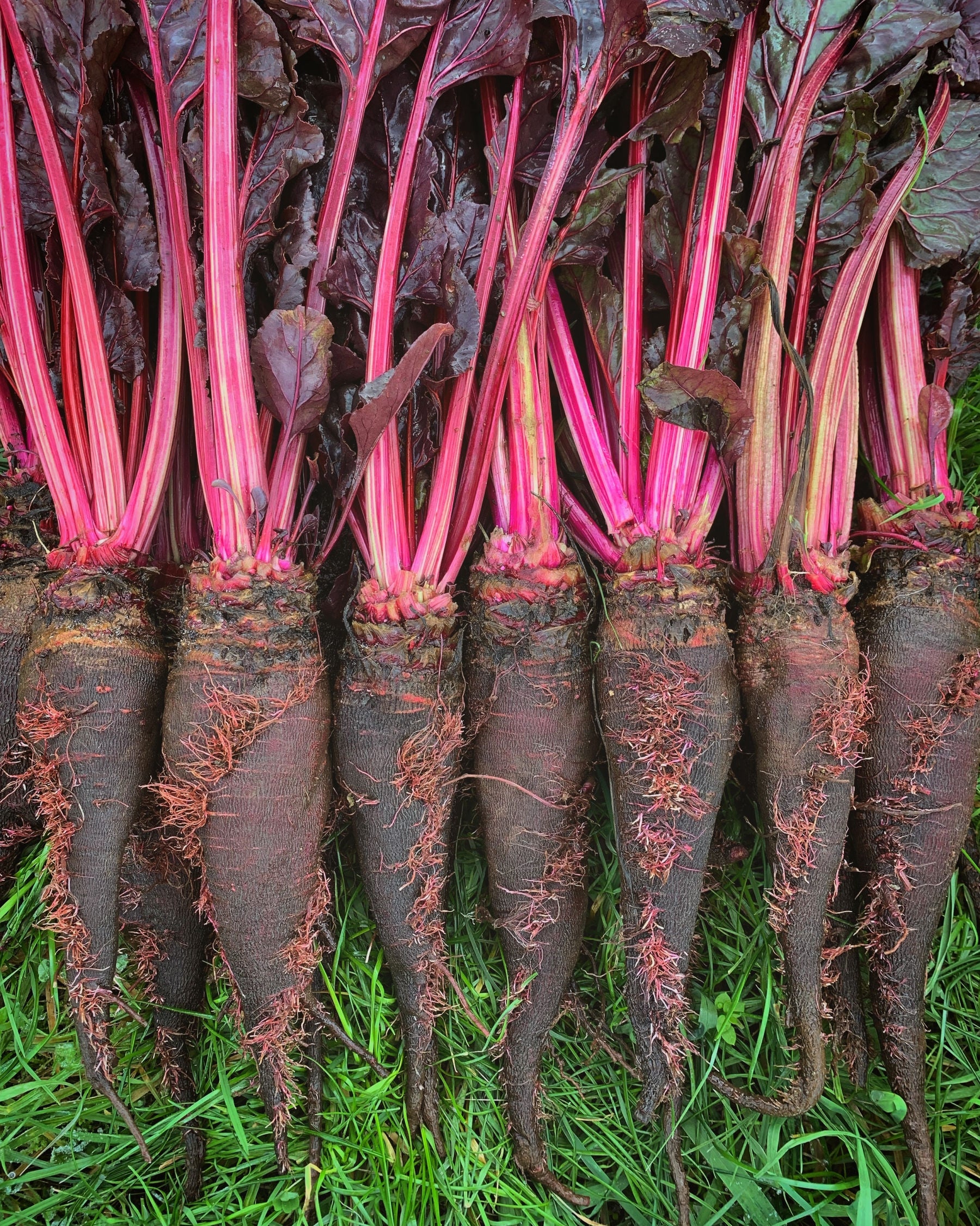 003023NK.jpg