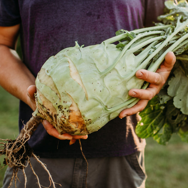 020015NK.jpg