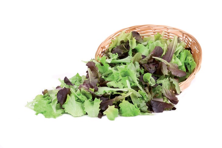 034140BG.jpg