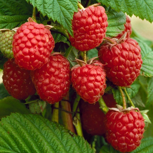 72A0124.jpg