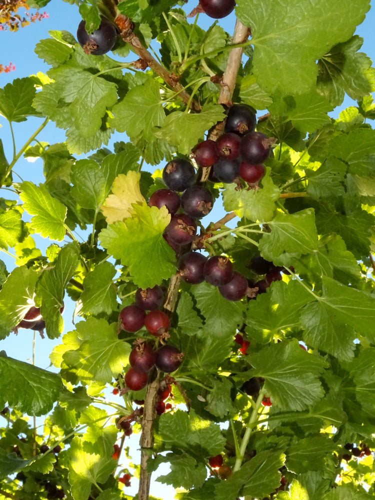 72A0310.jpg