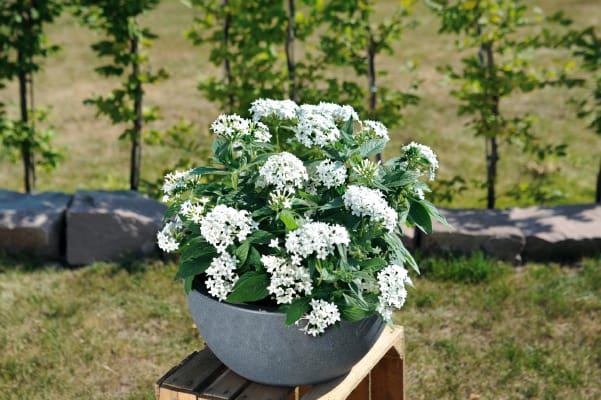 R46.210E.jpg
