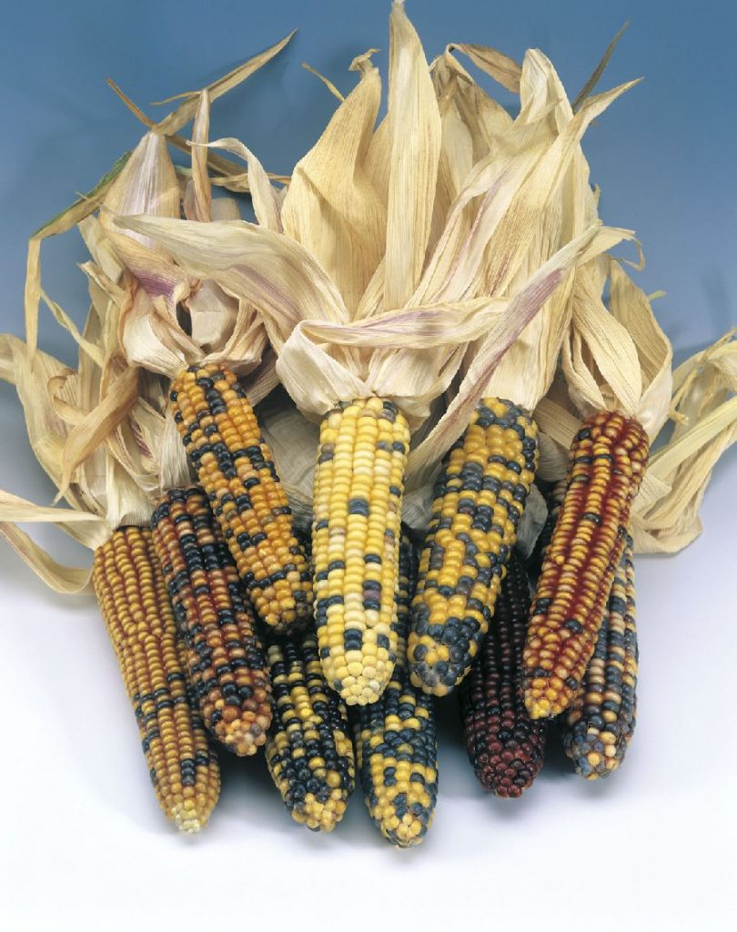 D68-700.jpg