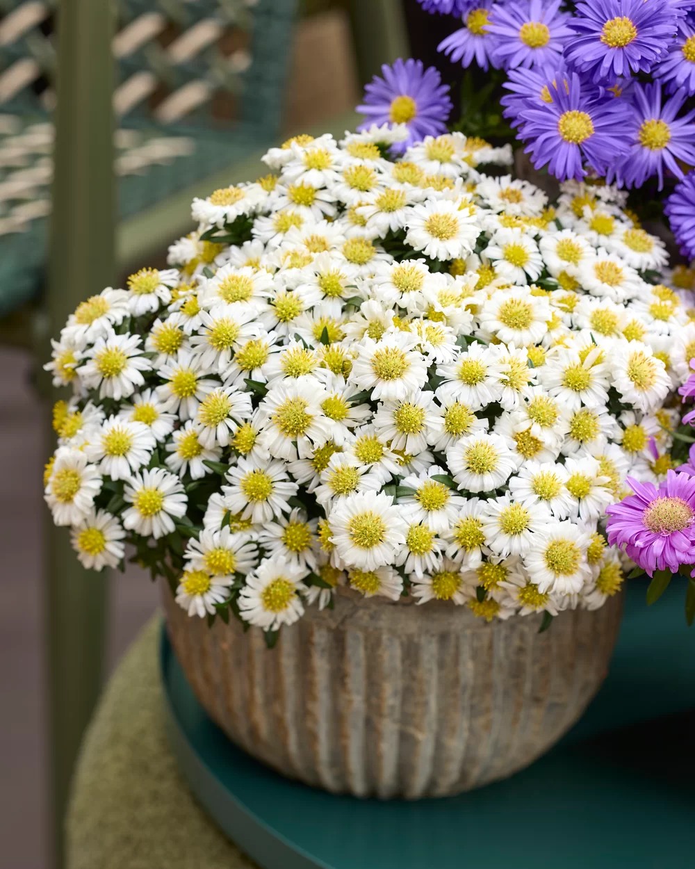37154.webp